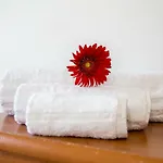 Le Terme Sotto Casa Daire *