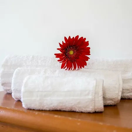 Le Terme Sotto Casa Apartment *